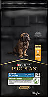 Purina Pro Plan Puppy LARGE Robust 12 кг -для цуценят великих порід з куркою