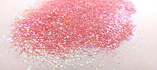 ГЛІТЕР СУХИЙ ГОЛОГРАФІЧНИЙ MIX CHUNKY GLITTER, фото 5
