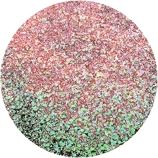 ГЛІТЕР СУХИЙ ГОЛОГРАФІЧНИЙ MIX CHUNKY GLITTER, фото 3