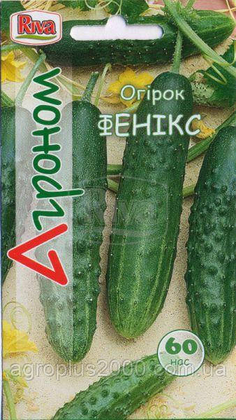 Насіння Огірок бджолозапильний Фенікс  60 насінин Riva