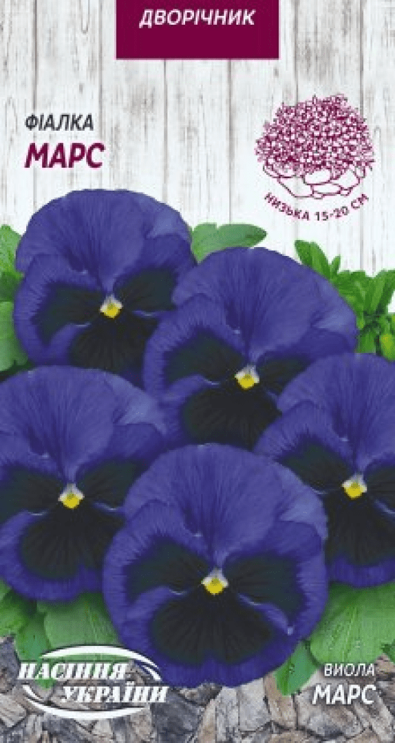 Насіння Квіти Фіалка Марс 0,05 г Насіння України, фото 1