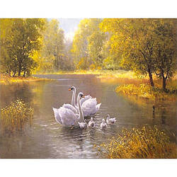 Алмазний живопис "Лебеді", 30х40см. в коробці GLD61239