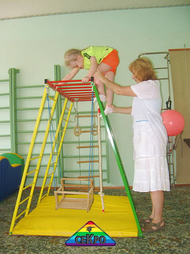 Купить Гимнастический игровой комплекс для детей, цена 8599 грн — Prom ...