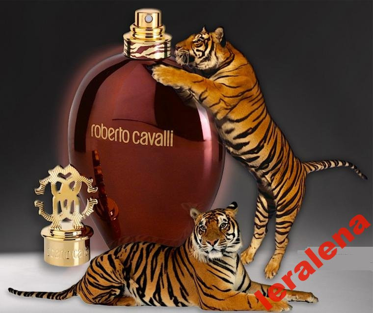 Roberto cavalli tiger oud hotsell