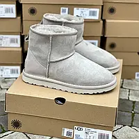 Ugg Classic Mini Light Grey Suede 36