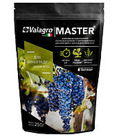 Комплексное минеральное удобрение для винограда Master (Мастер), 250г, NPK 17.6.18, Весна-Лето, Valagro