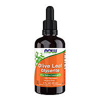 Экстракт оливковых листьев жидкий Now Olive Leaf Glycerite 18% Liquid 59 ml
