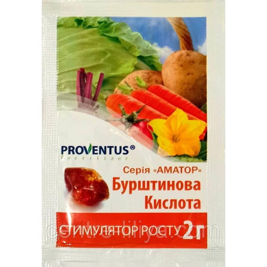 Бурштинова кислота 2г