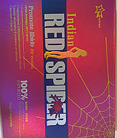 Red spider 12 стиків для здоров'я, Київ