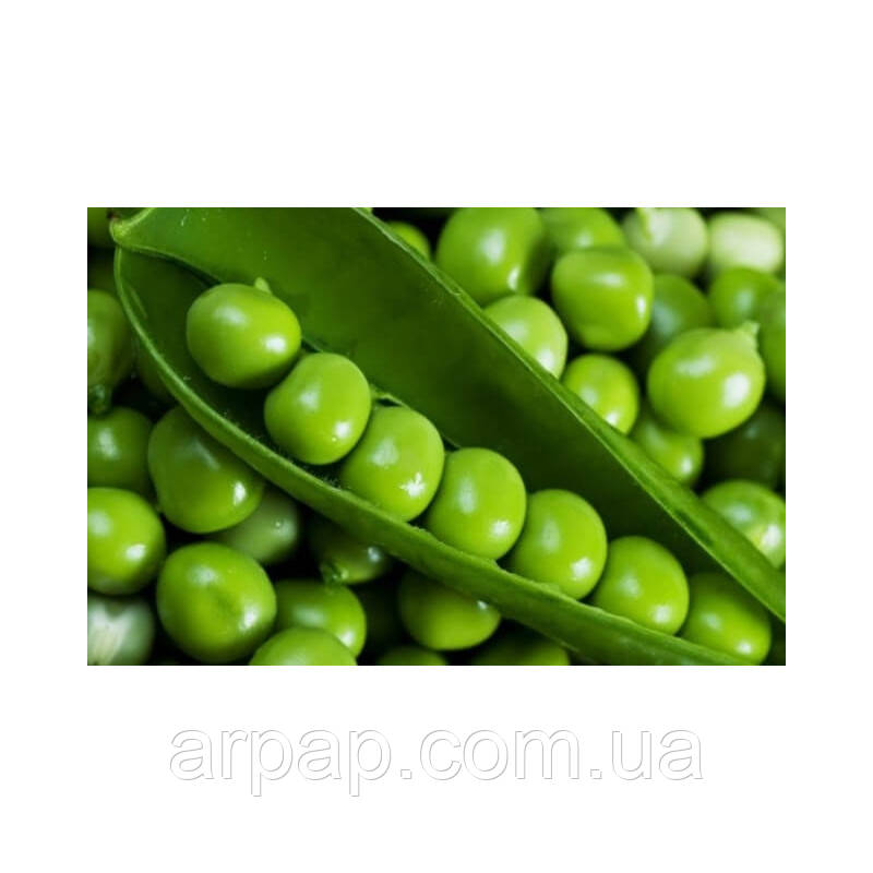 Горох ПРЕЛАДО Syngenta 1кг оброблень (фасовка), фото 1