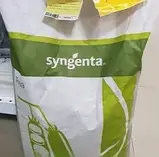 Горох ПРЕЛАДО Syngenta 1кг оброблень (фасовка), фото 2