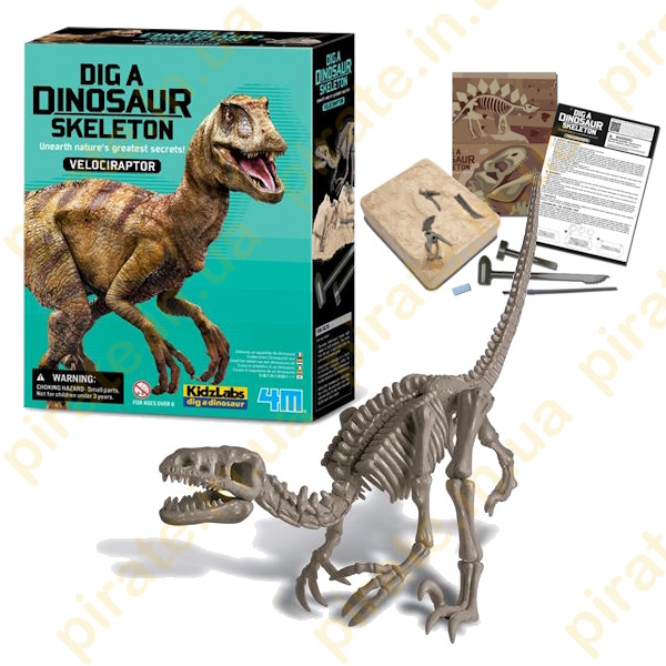 Набір для розкопок 4M Скелет велоцираптора (00-13234) (розкопки динозавр) набір для дослідів