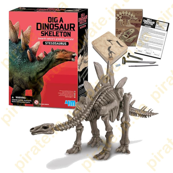 Набір для розкопок 4M Скелет стегозавра (розкопки динозавра іграшка) (00-03229) набір для дослідів