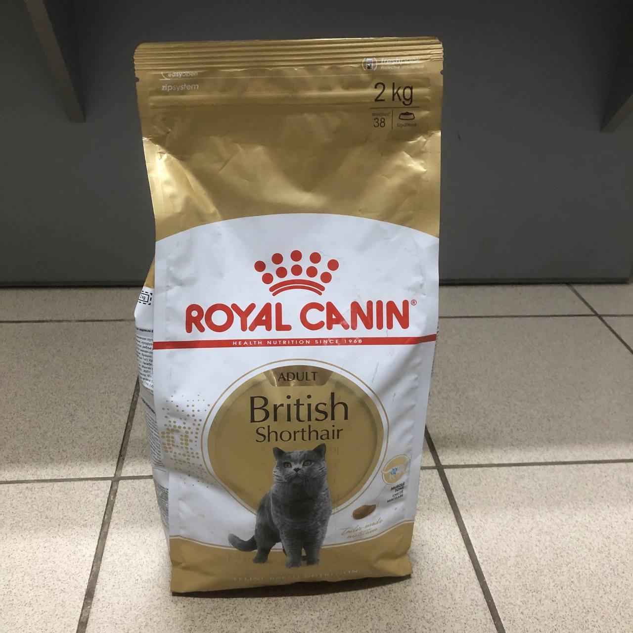 Royal Canin British Shorthair Adult, з птицею, 2 кг сухий корм для британських короткошерстих дорослих котів