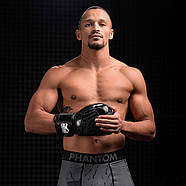 Боксерські рукавиці Phantom Germany Eagle Black 10 унцій, фото 9