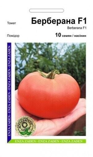 Томат Берберана 10 нас