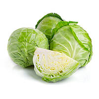 Капуста білокачанна