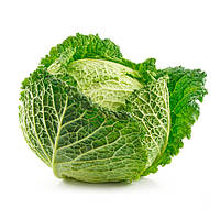 Капуста савойська