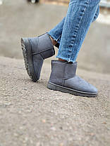 Уги UGG короткі сіра замша жіночі, фото 5