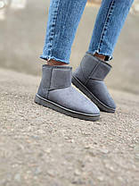 Уги UGG короткі сіра замша жіночі, фото 6