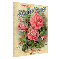 Картина на полотні Scott`s Roses 45х65 см (H4565_RET021)