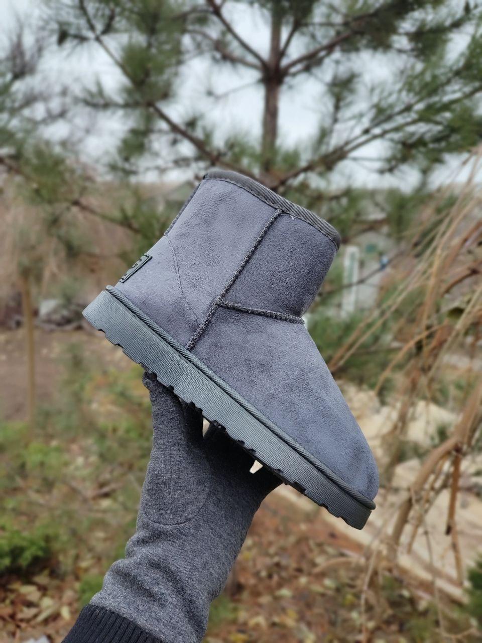 Короткі сірі замшеві уггі жіночі UGG