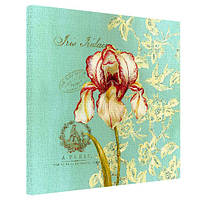 Картина на полотні Iris Iridaceae 50x50 см (H5050_RET012)