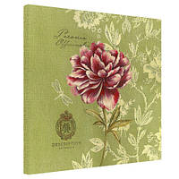Картина на полотні Paeonia officinalis 50x50 см (H5050_RET013)