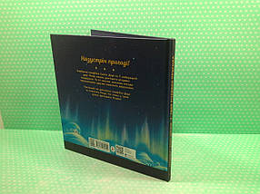 Ранок Книжка картинка Твоя різдвяна пригода разом із Дорі та Ренді, фото 3