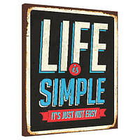Картина на полотні Life is simple 40x50 см (H4050_DVD001)