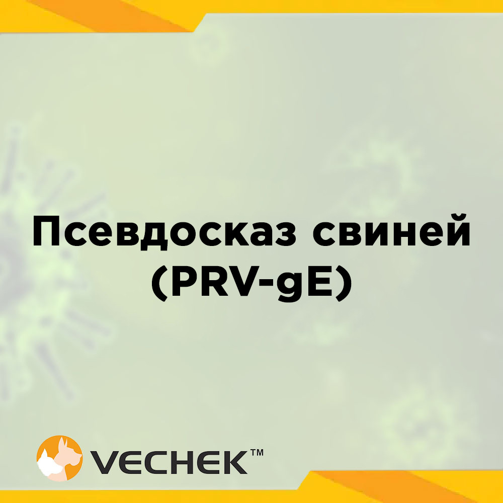 Експрес-тести для якісного виявлення антитіл до глікопротеїну gE вірусу псевдосказу свиней (PRV‐gE Ab), VIPRE‐302