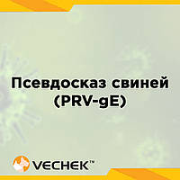 Експрес-тести для якісного виявлення антитіл до глікопротеїну gE вірусу псевдосказу свиней (PRV‐gE Ab), VIPRE‐302