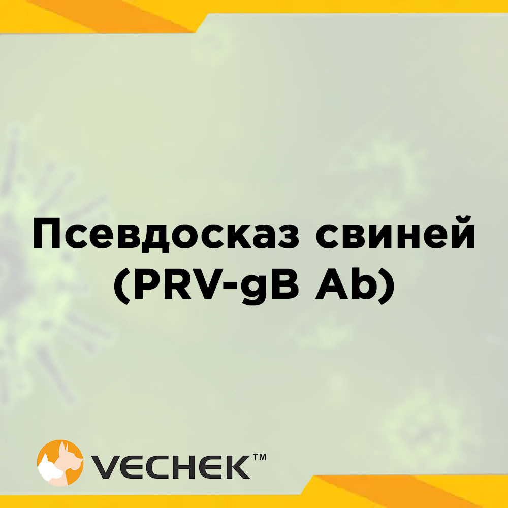 Експрес-тести для виявлення антитіл  до глікопротеїну gB вірусу псевдосказу свиней (PRV‐gB Ab), VIPRB‐302