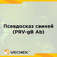 Експрес-тести для виявлення антитіл  до глікопротеїну gB вірусу псевдосказу свиней (PRV‐gB Ab), VIPRB‐302