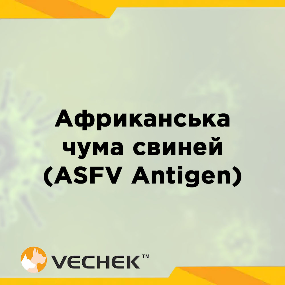 Експрес-тести для виявлення антигена ВАЧС (у зразку сироватки, плазми чи тканини), ASFV Ag, VIASFG‐402