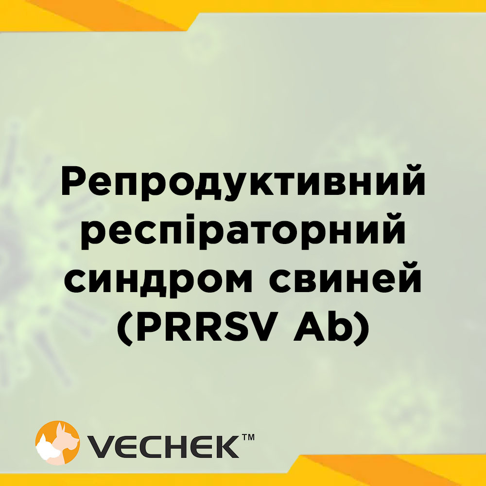 Експрес-тести для виявлення антитіл до вірусу РРС свиней (PRRSV Ab), VIPRR‐302