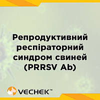 Экспресс-тесты для обнаружения антител к вирусу РРС свиней (PRRSV Ab), VIPRR 302