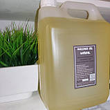 Масажна олія виноградних кісточок "Natural" 5 літрів (100% олія холодного віджиму рафінована жирна), фото 3