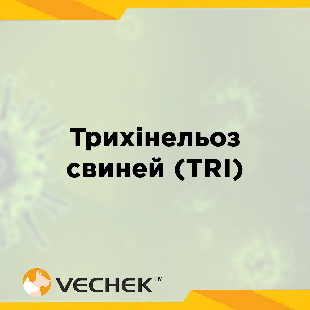 Експрес-тести для швидкого виявлення антитіл до трихінельозу свиней (TRI Ab), VITR-402