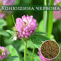 Конюшина червона на вагу