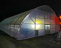Теплиця "Фермер максі-12" 12х100 (крок арок 2,5 м), фото 3