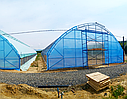 Теплиця "Фермер максі-12" 12х100 (крок арок 2,5 м), фото 2