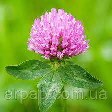 Конюшина магнічена 10 кг, фото 1