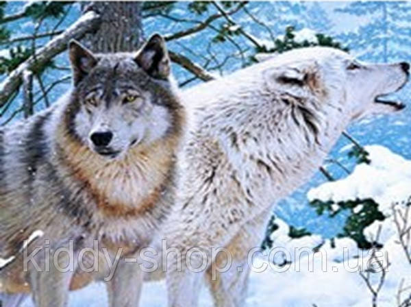 Алмазна вишивка. Картина на картоні "Пара вовків" , розмір 21х25, фото 1