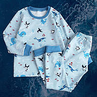 Теплая детская пижама с брюками и кофтой байковая с начесом для мальчика хлопковая от ТМ Ladan