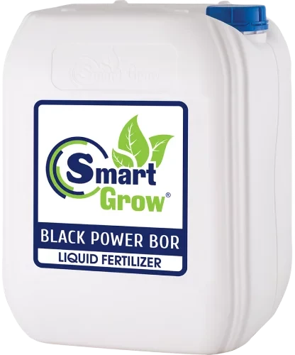 SMARTGROW BLACK POWER BOR (10л), фото 1
