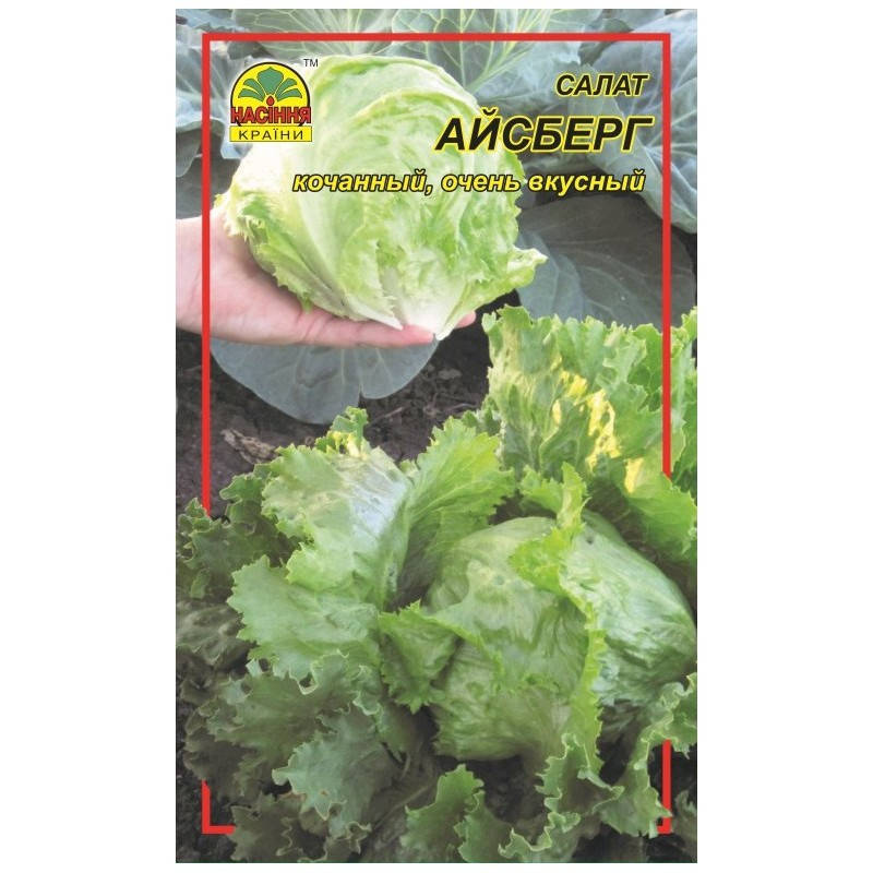 

Салат Айсберг - 0.3 г