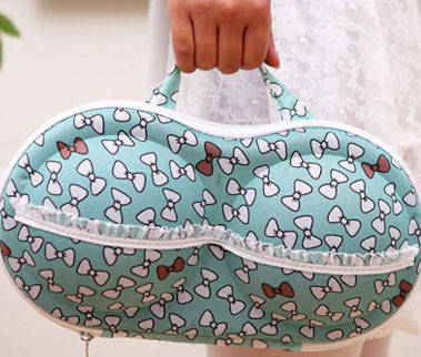 

Органайзер - сумочка для бюстгальтеров (с сеточкой) бантики