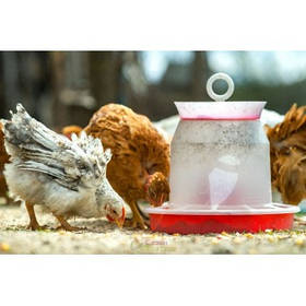 Кормушки для птиці