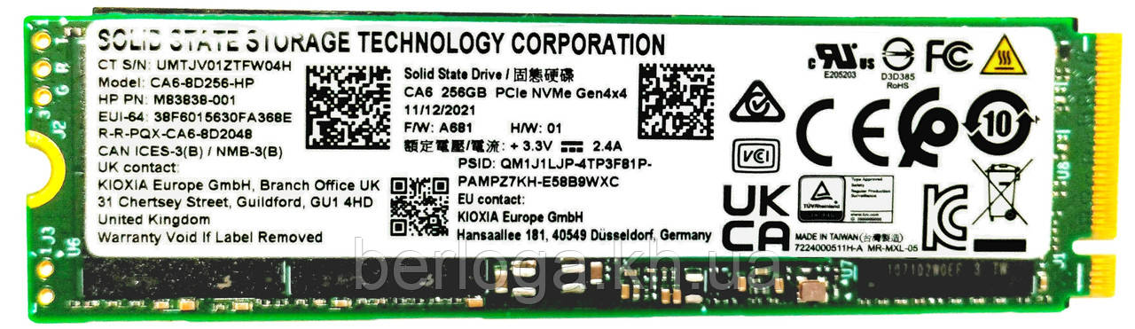 SSD-накопичувач Kioxia HP CA6 256 GB (CA6-8D256 -HP)